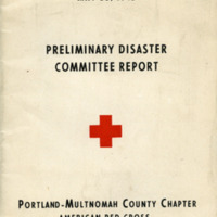 disaster report.jpg
